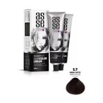 Asse Hair Color Systems 60 ml Mokka Kahvesi 5.7 Krem Saç Boyası