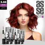 Asse Tüp Boya 100ML. 5-66 Şarap Kızıl