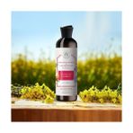 Asseds Store Yumuşatıcı Bakım Şampuanı Nar Kabuğu ve Hindiba Bitki Özlü 500ML - Option-1