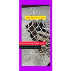 assellf 2.5x9 4mm 5cmx5cm Balkon filesi(Kedi ve Çocuk) MONTAJ KILAVUZU+MONTAJ EKİPMANI HEDİYELİ