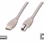 Assmann AK-300102-030-E 3M USB Kablo