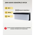 Assos Aplik Radar Sensörlü Dış Mekan Duvar Armatürü | 6500K Beyaz Işık | 220V OEM-51440