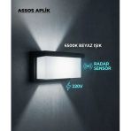 Assos Aplik Radar Sensörlü Dış Mekan Duvar Armatürü | 6500K Beyaz Işık | 220V