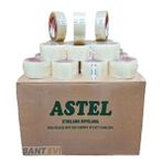 Astel 60 Adet 1 Koli 45x100 Koli Bandı