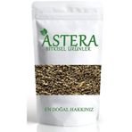 Astera 1 kg Kereviz Tohumu