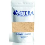 Astera 1 kg Toz Zencefil