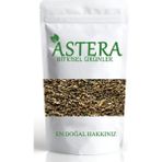 ASTERA 100 Gr Kereviz Tohumu