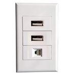 AsteriskStore 2 USB + RJ11 Modüllü Duvar Plakası, Keystone Konnektörler Jak/Fiş Duvar Montaj Ön Panel Kapağı (Tip 118C)