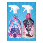 Astonish Leke Çıkarıcı Sprey Koltuk Ve Halı Temizleyici Sprey 750 ml