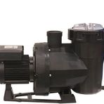 Astral Victoria Plus 1.5 Hp Trifaze Kendinden Emişli Havuz Pompası