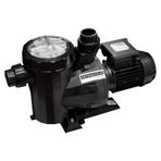 Astral Victoria Plus 1 Hp 380 V Havuz Pompası