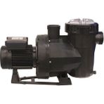 Astral Victoria Plus 1 Hp Monofaze Kendinden Emişli Havuz Pompası