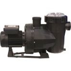 Astral Victoria Plus 2 Hp Trifaze Kendinden Emişli Havuz Pompası