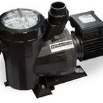 Astral Victoria Plus 3 Hp 380 V Havuz Pompası