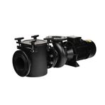 Astralpool Aral Plus C-3000 5,5 HP DN125-100 Trifaze Havuz Pompası (400/690V - 50hz)