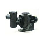 Astralpool Kivu 3 HP Trifaze Havuz Pompası (230/400V)