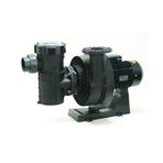 Astralpool Kivu 5,5 HP Trifaze Havuz Pompası (400/690V)