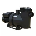 Astralpool Victoria Plus Silent 1,5 HP Trifaze Havuz Pompası