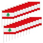 ASUNO 20'li Paket Lübnan Küçük El Bayrakları 8,3 x 5,5 inç Polyester Mini Lübnan El Sallayan Afişler Çubuklu Canlı Renk Solmaya Dayanıklı Spor Etkinliği Parti Dekorasyonu için