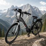 AsVIVA Asvıva B14T 28 Jant Orta Motorlu Hollanda Elektrikli Bisiklet Li-Ion Akü 36V/17,5 Amp - Gri
