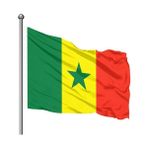 Asya Bayrak 70x105 cm Senegal Bayrağı