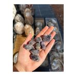 Asya Gems 10'lu Ametist Ham Parça Doğal Taş ASC-4236