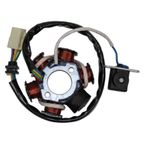 Asya Turkcup Motor Brandası