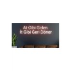 At Gibi Giden İt Gibi Döner Yazılı Neon Tabela