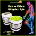 At Kestanesi Balsamı Jeli Kas Eklem Besleyici Masaj Kremi 500 Ml