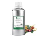 At Kestanesi Maserasyon Yağı - Etheloil - 500 GR -%100 Saf ve Maserasyon Yağ – Üretici Firma, Yüksek Kalite, Toptan Satış