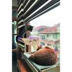 ATA HOME Cama Asılan Kedi Yatağı Vantuzlu