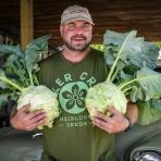 Ata Tohum Geleneksel Giantl Kohlrabi (Alabaş) Tohumu (15 Tohum)