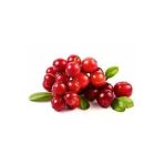 Ata Tohumculuk 10 Adet Tohum Yaban Mersini Tohumu Cranberry Turna Yemişi Tohumu