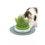 Ata Tohumculuk 500 Adet Tohum Eko Paket Kedi Çimi Tohumu Çim Tohumu Kedi Çimi Sürpriz Hediye Tohumla Gönderilir