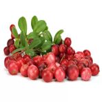 Ata Tohumları Soğuklara Dayanıklı Cranberry Turna Yemişi Tohumu (5 Tohum)