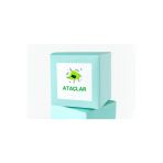 Ataç Temalı Okula Dönüş Etiketi Kare Mat Sticker 4.5 Cm (40 Adet)