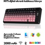 ATAsoft M75 Kablosuz Bt+2.4ghz OLED Tft Ekranlı Membran Reinbow Aydınlatmalı Gaming Oyuncu Klavye - Pembe