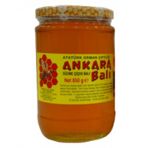 Atatürk Orman Çiftliği Ankara 850 gr Çiçek Balı