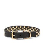 Aten Handmade Deri Köpek Tasması Siyah M (36-45CM) Cl-At-Bl-M