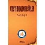 Ateşte Demlenen Şiirler - Kolektif