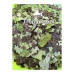 Atılım Akvaryum Tropheus Türleri için Özel Pul Yem - TropSpecial 100 Gram