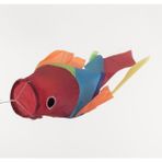 Atlantech 239175 cm Rainbow Uçan Balık