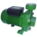 Atlantis Blu DMLA 30-1.5 m 2 HP 220 V Tek Kademeli Basınçlı Santrifuj Bahçe Pompası
