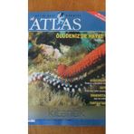 Atlas Aylık Gezi Dergisi Sayı: 33 / Aralık 1995 / Ölüdeniz'de Hayat Fethiye