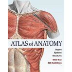 Atlas of Anatomy: The Human Body Described in 13 Systems (Ullmann) by EDITORIAL TEAM SOBOTTA (2011-09-22)