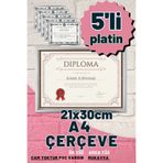Atlas Sanat Galerisi 5 Adet A4 Çerçeve Diploma Belge Sertifika Fotoğraf Resim Çerçevesi Pvc 5 Li Platin