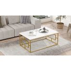 Ats Dekor Endüstriyel Tasarım Orta Sehpa - 100x60x40 - Gold Beyaz