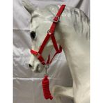 Atsar Equestrian Ithal Yular & Ipi (Kırmızı) - Cob Size