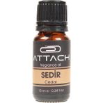 Attach Sedir Ağacı Esanslı Buhur Yağı