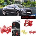 Audi A5 2007-2016 B8 Coil-Ex 3.cm Helezon Spor Yay